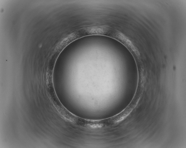 X0000086060161200703231251