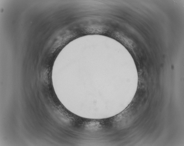 X0000086060162200703231251