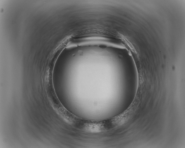 X0000086060163200703231251