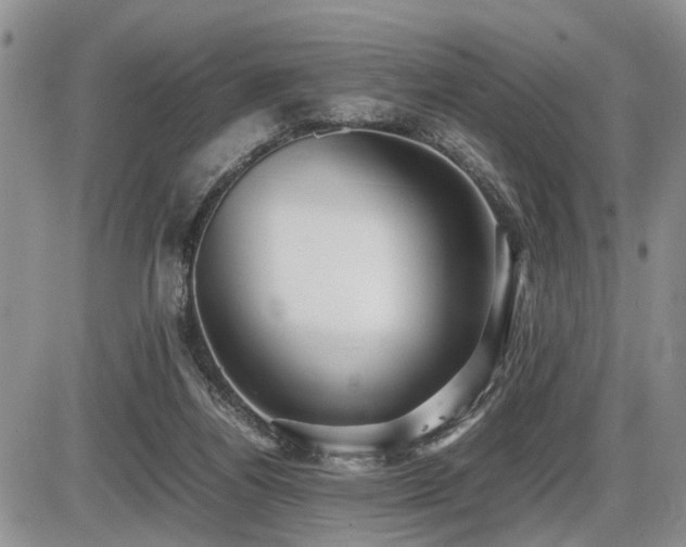 X0000086060164200703231251