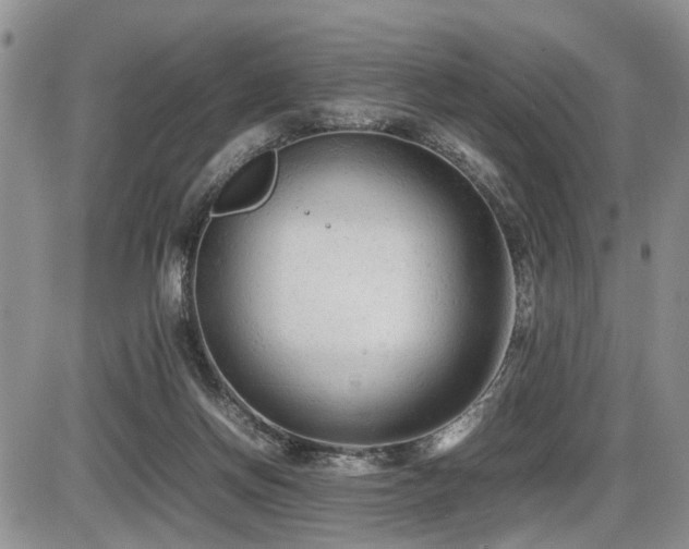 X0000086060166200703231251