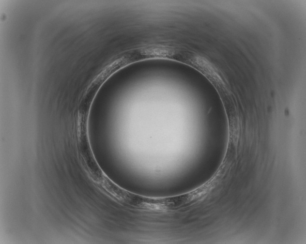 X0000086060167200703231251