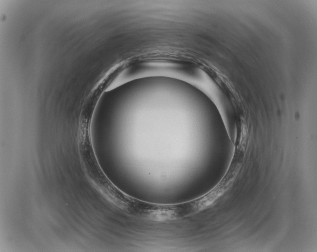 X0000086060168200703231251