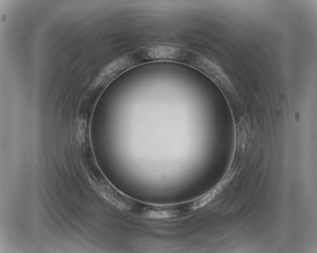 X0000086060171200703231251