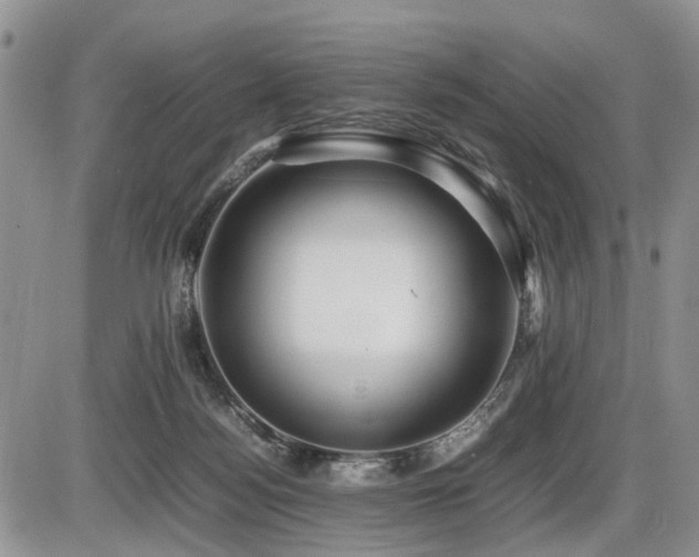 X0000086060172200703231251