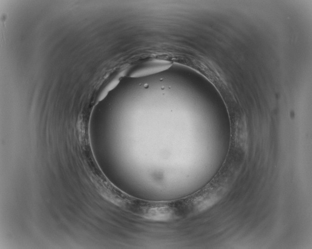 X0000086060173200703231251