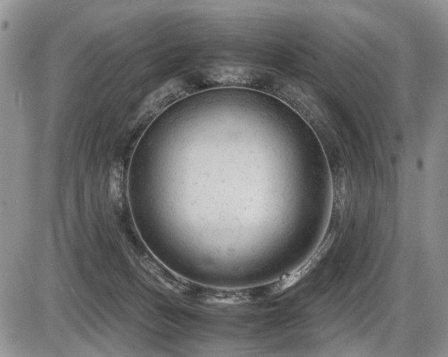 X0000086060175200703231251