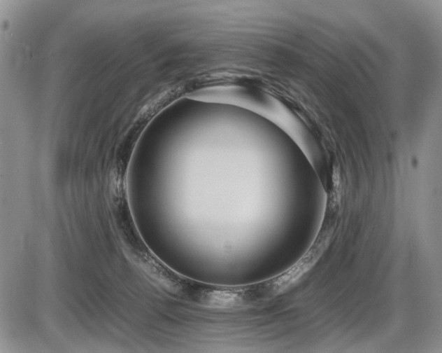 X0000086060176200703231251