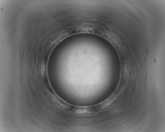 X0000086060177200703231251