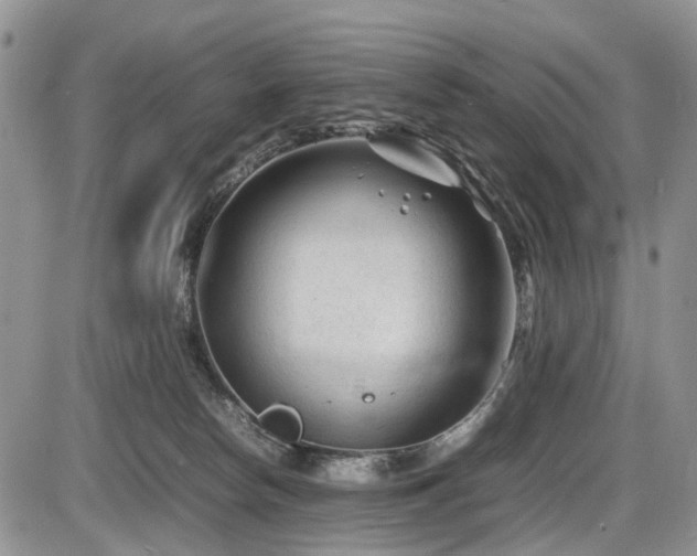 X0000086060178200703231251