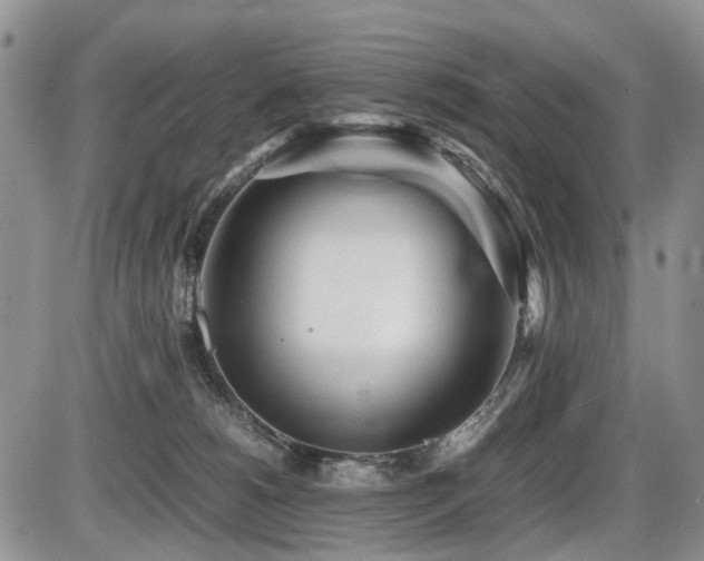 X0000086060180200703231251