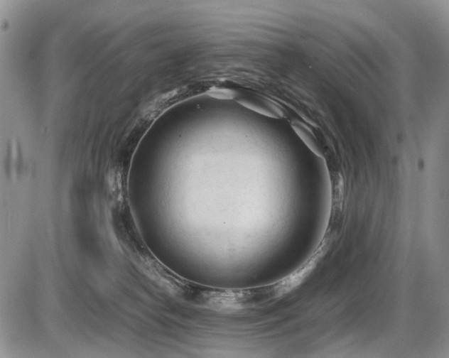 X0000086060182200703231251