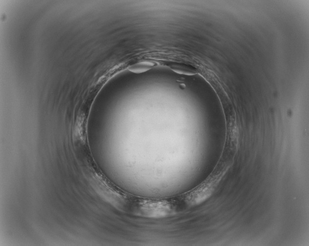 X0000086060185200703231251