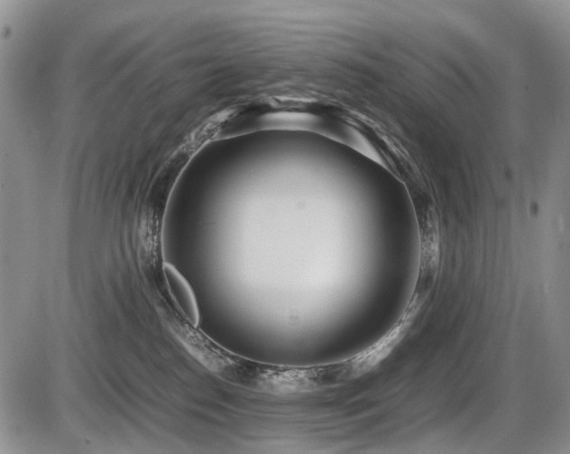 X0000086060186200703231251