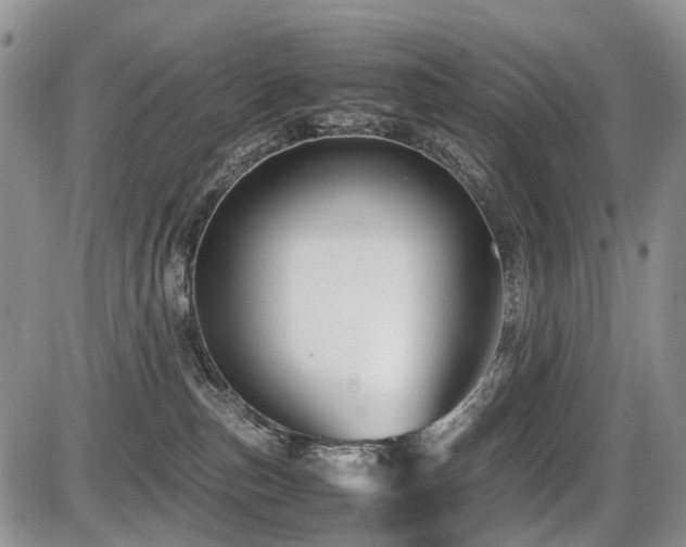 X0000086060187200703231251