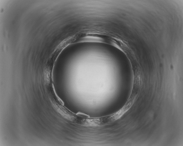 X0000086060188200703231251