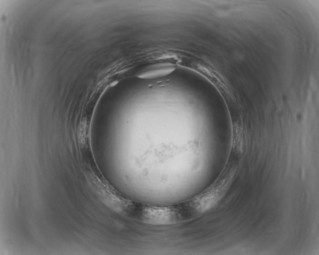 X0000086060189200703231251