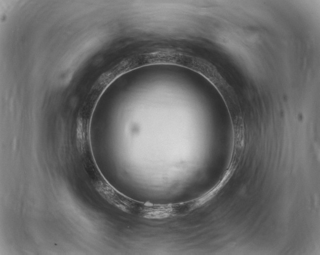 X0000086060191200703231251