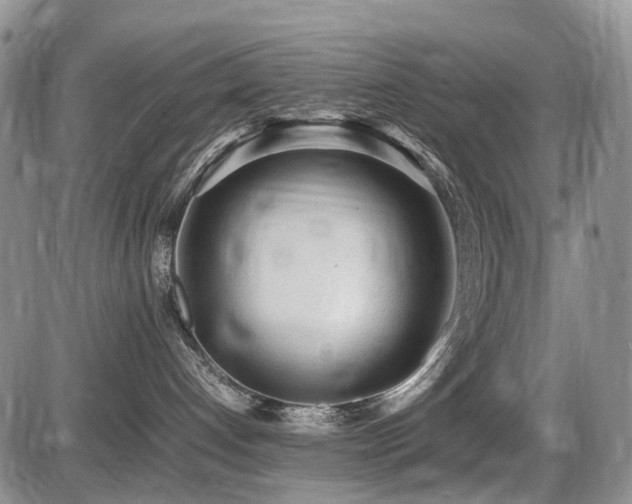 X0000086060192200703231251