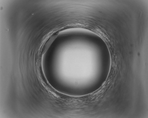 X0000086060193200703231250