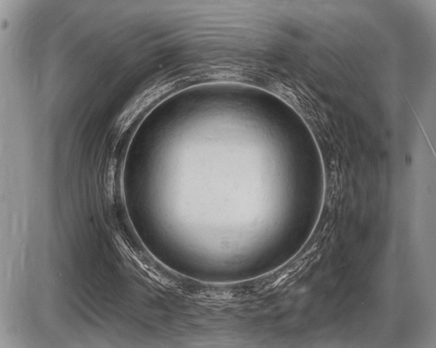 X0000086060194200703231250