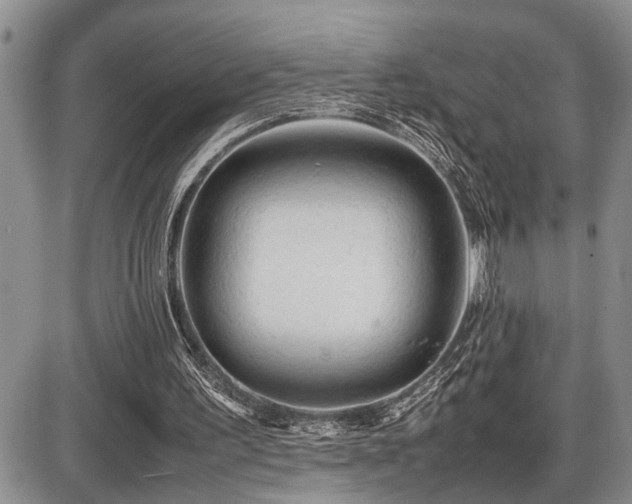 X0000086060195200703231250