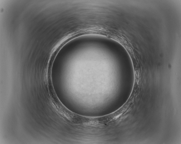 X0000086060196200703231250