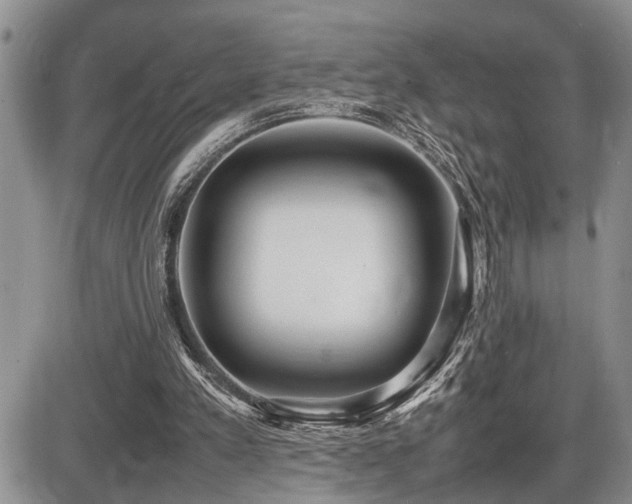 X0000086060197200703231250