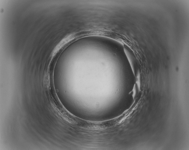 X0000086060198200703231250