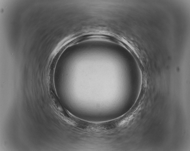 X0000086060199200703231250