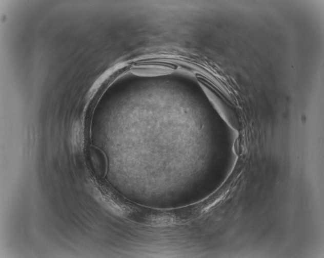 X0000086060200200703231250