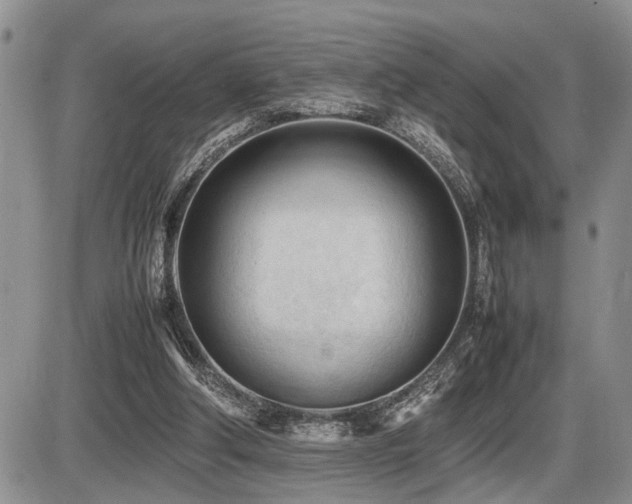 X0000086060202200703231250