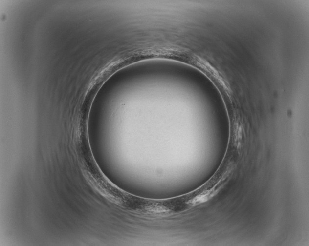 X0000086060203200703231250