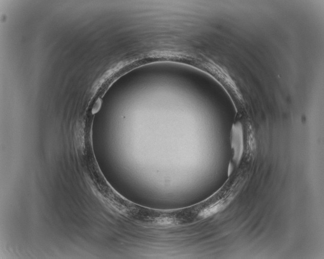 X0000086060204200703231250