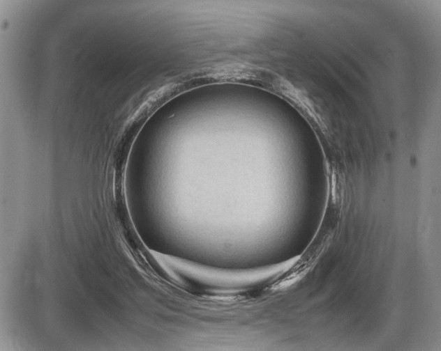 X0000086060205200703231250