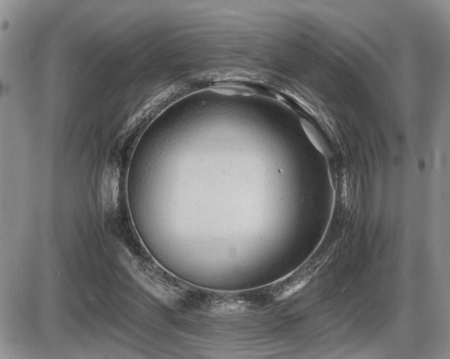 X0000086060206200703231250