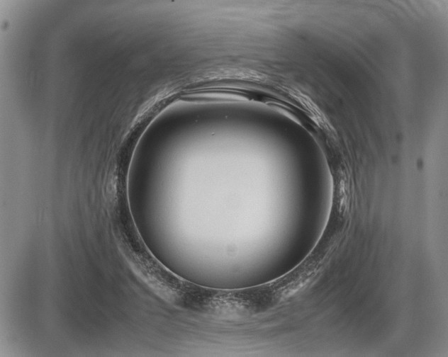 X0000086060207200703231250