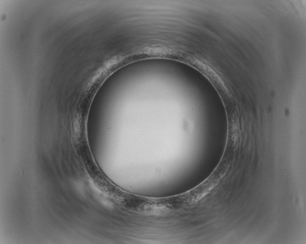 X0000086060208200703231250