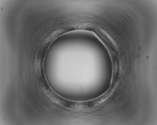 X0000086060209200703231250