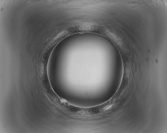 X0000086060211200703231250