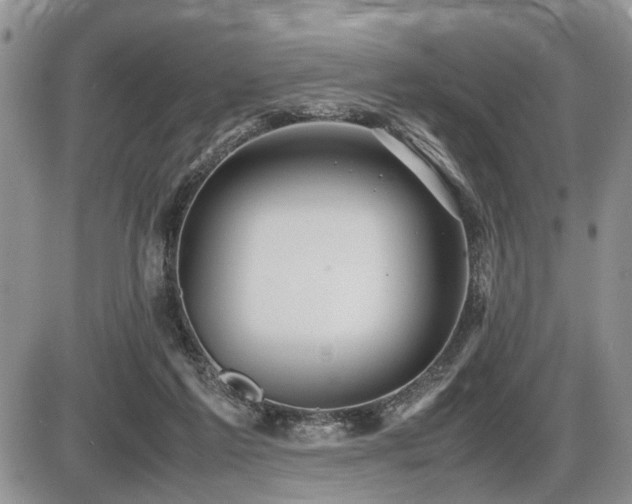 X0000086060213200703231250