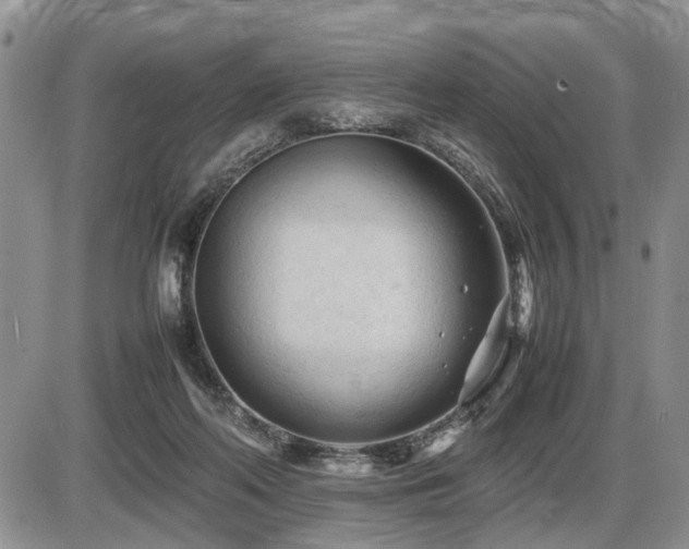 X0000086060214200703231250