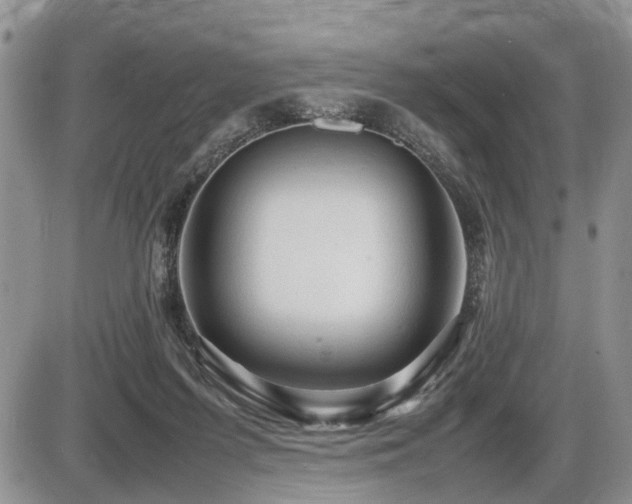 X0000086060215200703231250