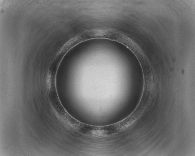 X0000086060216200703231250