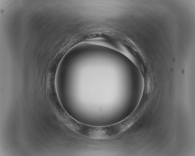 X0000086060217200703231250