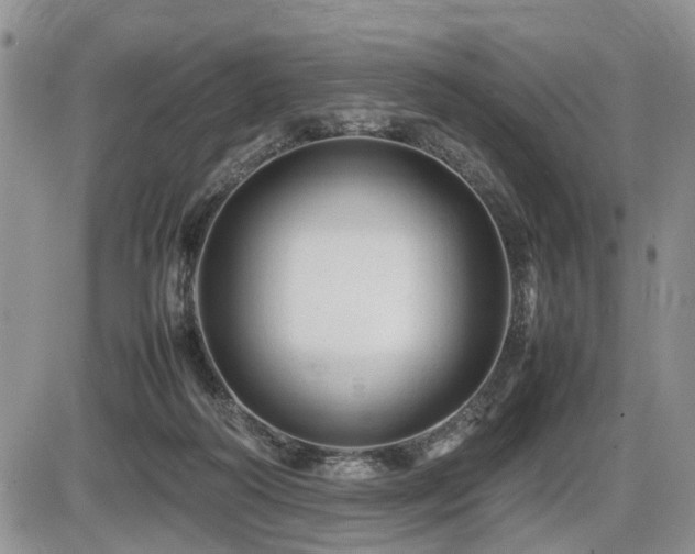 X0000086060218200703231250