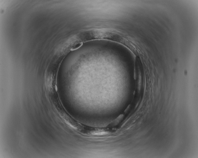 X0000086060219200703231250