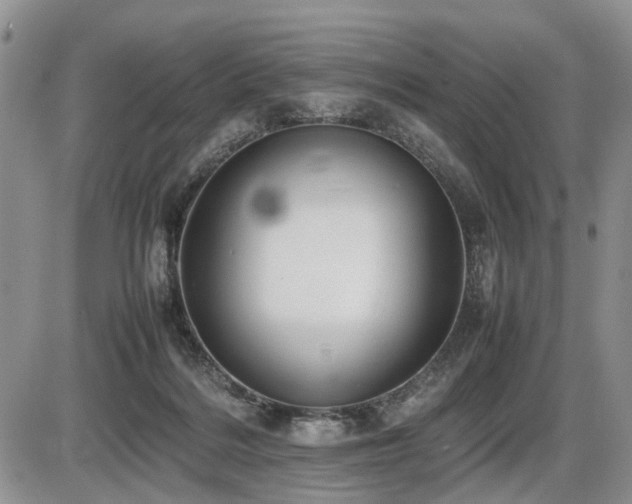 X0000086060220200703231250