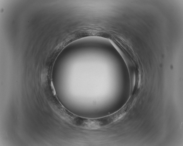 X0000086060221200703231250