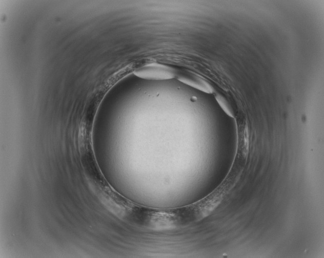 X0000086060222200703231250